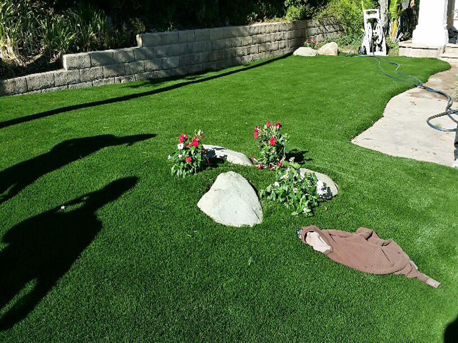 Artificial Grass Carpet Rio Linda, California Backyard Deck Ideas, Front Yard Ideas
