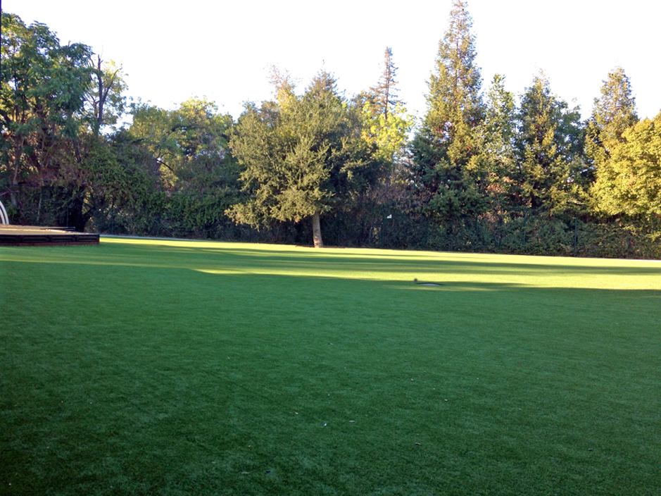 Artificial Grass Installation Rollingwood, California Paver Patio, Parks