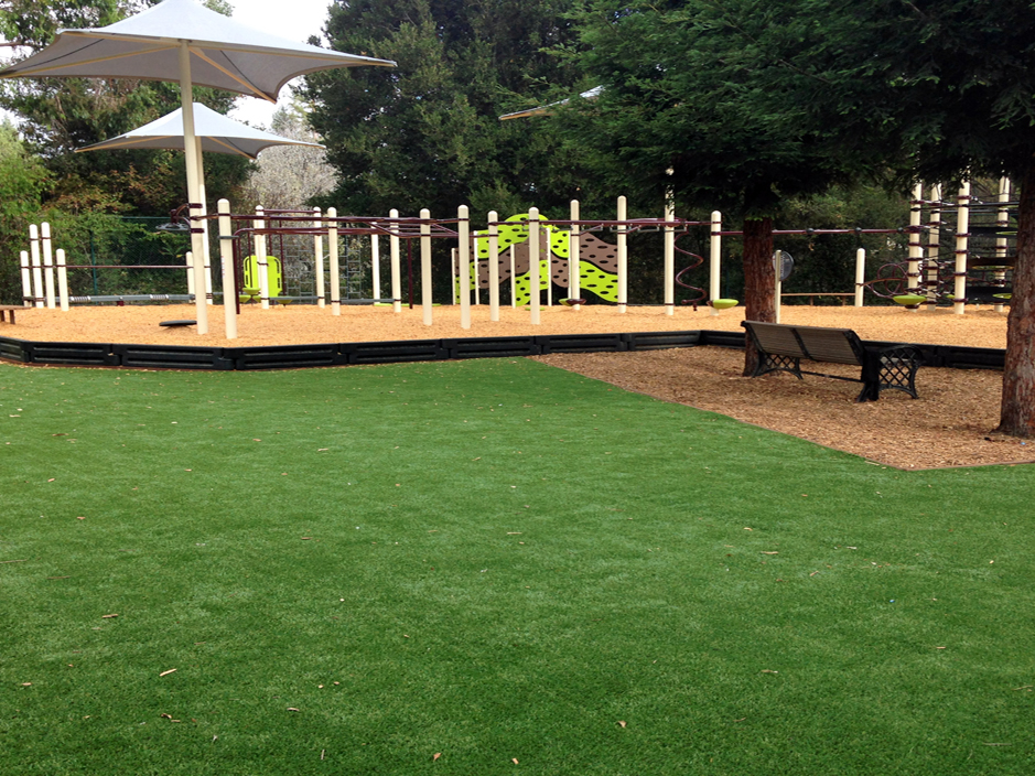 Artificial Grass Jamestown, California Playground Safety, Backyard Design