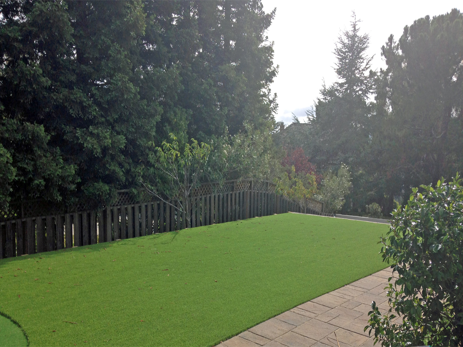 Best Artificial Grass Pioneer, California Backyard Deck Ideas, Backyard