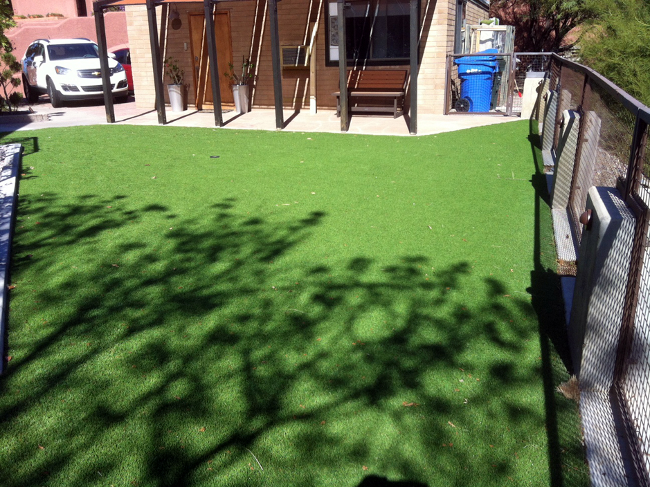 Fake Turf Lagunitas-Forest Knolls, California Landscape Ideas, Backyard Design