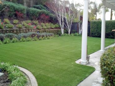 Artificial Grass Photos: Artificial Grass Carpet Atwater, California Backyard Playground, Backyard Garden Ideas