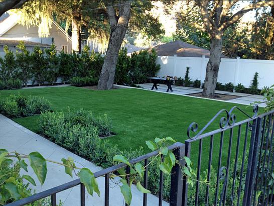 Artificial Grass Photos: Artificial Grass Carpet Belvedere, California Lawns, Front Yard Design