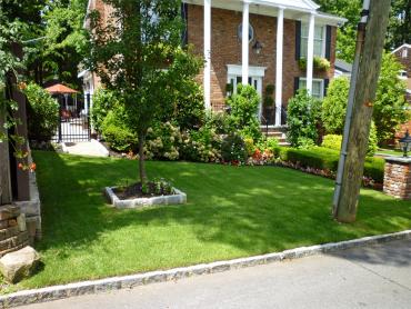 Artificial Grass Photos: Artificial Grass Carpet Black Point-Green Point, California Design Ideas, Front Yard