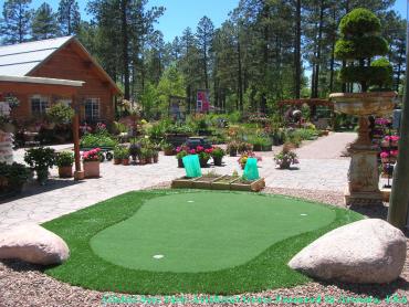 Artificial Grass Photos: Artificial Grass Carpet Buena Vista, California Design Ideas, Backyards