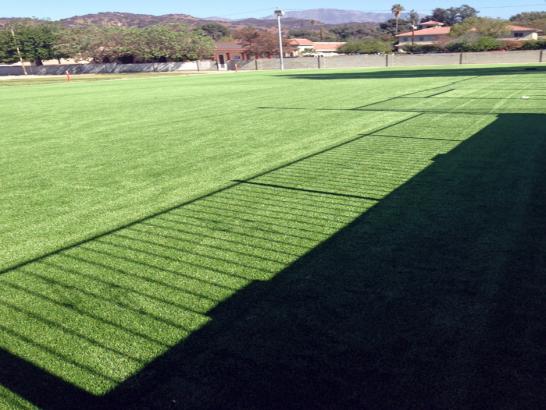 Artificial Grass Carpet Burlingame, California Paver Patio artificial grass