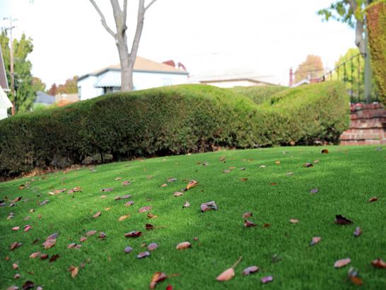 Artificial Grass Photos: Artificial Grass Carpet Castroville, California Backyard Playground, Front Yard Landscaping