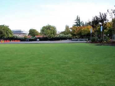 Artificial Grass Photos: Artificial Grass Carpet Cedar Ridge, California Backyard Playground