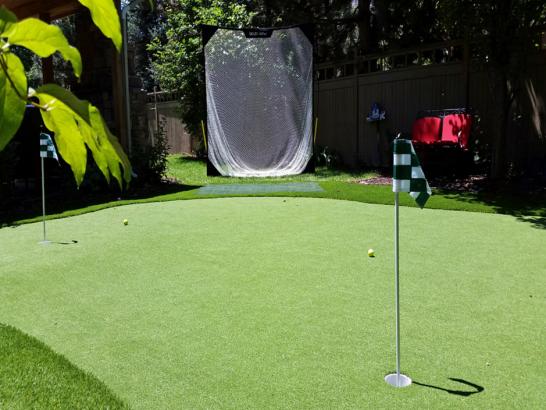 Artificial Grass Photos: Artificial Grass Carpet Coalinga, California Gardeners, Backyard Landscape Ideas