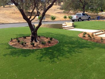 Artificial Grass Photos: Artificial Grass Carpet Copperopolis, California Landscape Photos, Front Yard Design