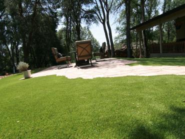 Artificial Grass Photos: Artificial Grass Carpet Del Monte Forest, California Home And Garden, Backyard