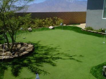 Artificial Grass Photos: Artificial Grass Carpet El Nido, California Landscape Ideas, Beautiful Backyards