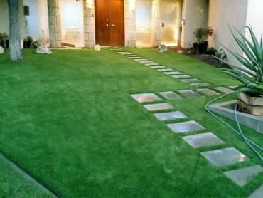 Artificial Grass Photos: Artificial Grass Carpet Elverta, California Backyard Deck Ideas, Front Yard Ideas