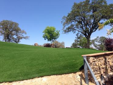 Artificial Grass Photos: Artificial Grass Carpet Gustine, California Rooftop, Front Yard Landscape Ideas