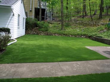 Artificial Grass Photos: Artificial Grass Carpet Lagunitas-Forest Knolls, California Landscape Rock, Front Yard Landscape Ideas