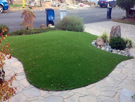 Artificial Grass Photos: Artificial Grass Carpet Las Lomas, California Lawns