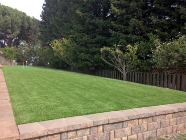 Artificial Grass Photos: Artificial Grass Carpet Midpines, California Gardeners, Backyard