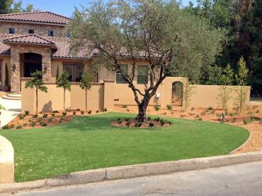 Artificial Grass Photos: Artificial Grass Carpet Newman, California Landscape Photos, Front Yard Landscaping