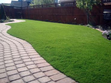 Artificial Grass Photos: Artificial Grass Carpet Pescadero, California Dog Run, Small Backyard Ideas