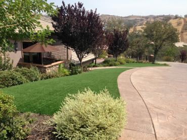 Artificial Grass Photos: Artificial Grass Carpet Pinole, California Lawn And Garden, Front Yard Ideas