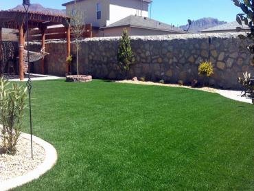 Artificial Grass Photos: Artificial Grass Carpet Rancho Calaveras, California Landscaping, Backyard Designs