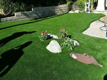 Artificial Grass Photos: Artificial Grass Carpet Rio Linda, California Backyard Deck Ideas, Front Yard Ideas