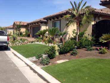 Artificial Grass Photos: Artificial Grass Carpet Shingle Springs, California Landscaping, Small Front Yard Landscaping