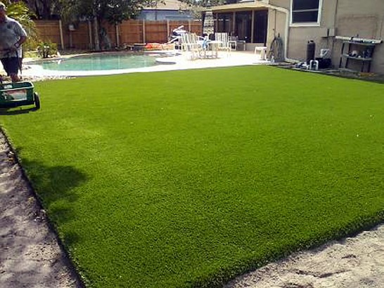 Artificial Grass Photos: Artificial Grass Green Valley, California Landscaping Business, Swimming Pool Designs