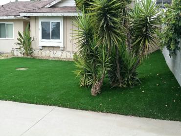 Artificial Grass Photos: Artificial Grass Installation Antelope, California Garden Ideas, Front Yard Landscape Ideas