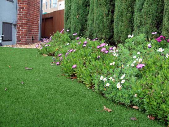 Artificial Grass Photos: Artificial Grass Installation Bret Harte, California Landscape Design, Front Yard Ideas