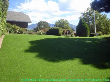 Artificial Grass Installation Campbell, California Dog Parks, Backyard Landscape Ideas artificial grass