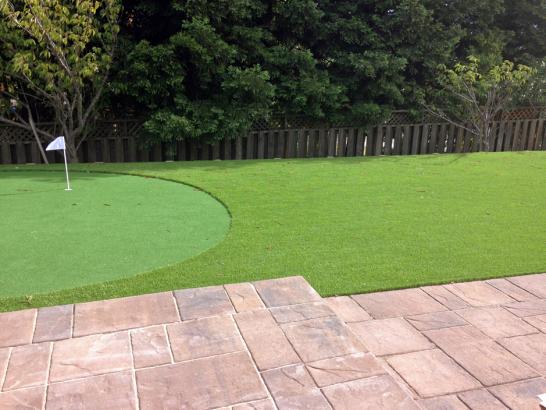 Artificial Grass Photos: Artificial Grass Installation Hayward, California Landscaping, Backyard Landscaping