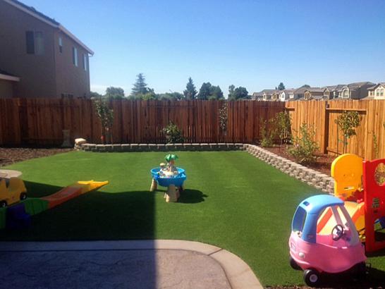 Artificial Grass Photos: Artificial Grass Installation La Selva Beach, California Landscape Ideas, Backyard Landscaping