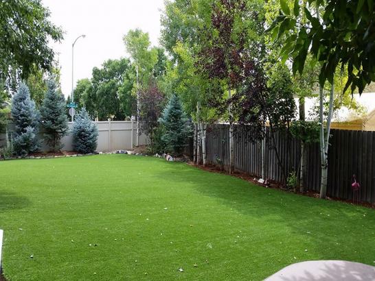 Artificial Grass Photos: Artificial Grass Installation Mill Valley, California Landscape Photos, Backyard Designs