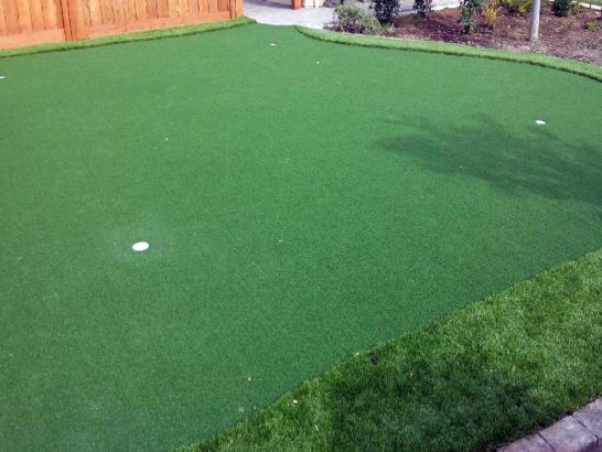 Artificial Grass Photos: Artificial Grass Installation Newark, California Design Ideas