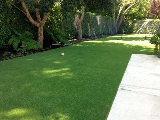 Artificial Grass Photos: Artificial Grass Installation Placerville, California Grass For Dogs