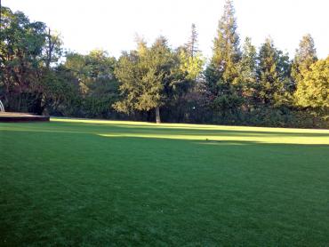 Artificial Grass Photos: Artificial Grass Installation Rollingwood, California Paver Patio, Parks