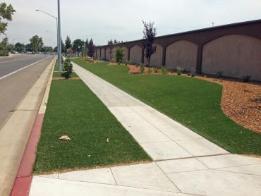 Artificial Grass Photos: Artificial Grass Installation Strawberry, California Gardeners, Commercial Landscape