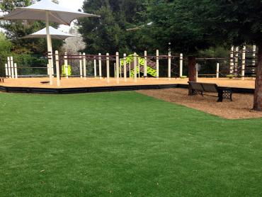 Artificial Grass Photos: Artificial Grass Jamestown, California Playground Safety, Backyard Design