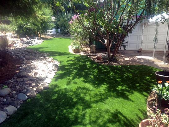 Artificial Grass Photos: Artificial Grass Morgan Hill, California Design Ideas, Backyard Garden Ideas