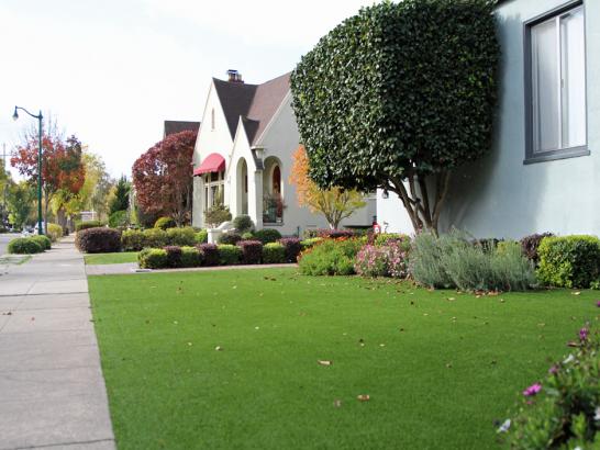 Artificial Grass Photos: Artificial Grass Newman, California Design Ideas, Front Yard Ideas