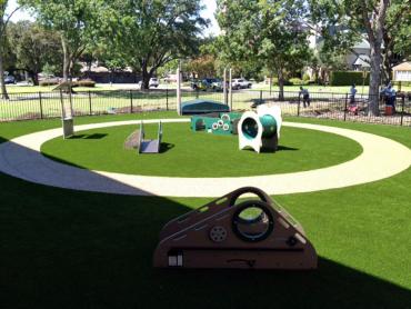 Artificial Grass Photos: Artificial Grass Oakland, California Indoor Playground, Commercial Landscape