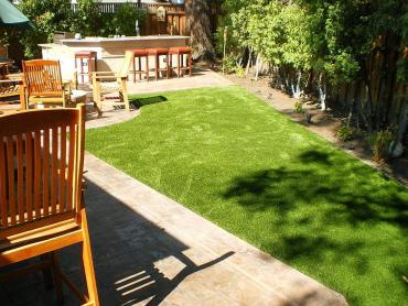 Artificial Grass Photos: Artificial Grass Piedmont, California Design Ideas, Backyard Designs