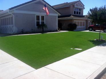 Artificial Grass Photos: Artificial Grass Port Costa, California Landscaping Business, Front Yard Landscape Ideas