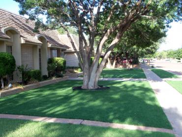 Artificial Grass Photos: Artificial Grass Ross, California Home And Garden, Front Yard Landscape Ideas