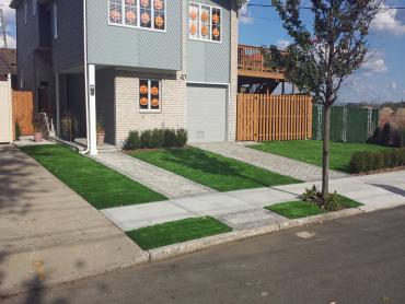 Artificial Grass Photos: Artificial Grass San Lorenzo, California City Landscape, Front Yard Design