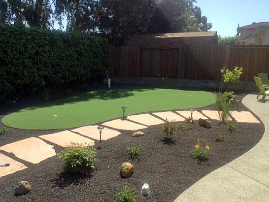 Artificial Grass Photos: Artificial Grass San Martin, California Roof Top, Backyard Landscaping Ideas