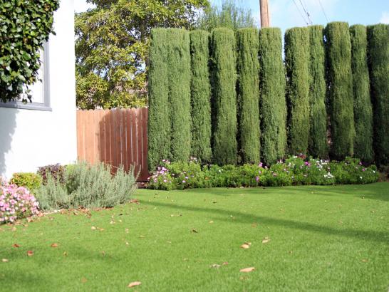 Artificial Grass Photos: Artificial Grass San Pablo, California Roof Top, Front Yard Landscape Ideas