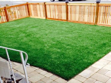 Artificial Grass Photos: Artificial Grass Santa Rosa, California Landscape Ideas, Backyard Landscaping