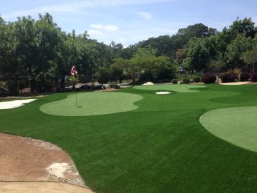 Artificial Grass Photos: Artificial Grass Tamalpais-Homestead Valley, California Putting Green, Front Yard Landscaping